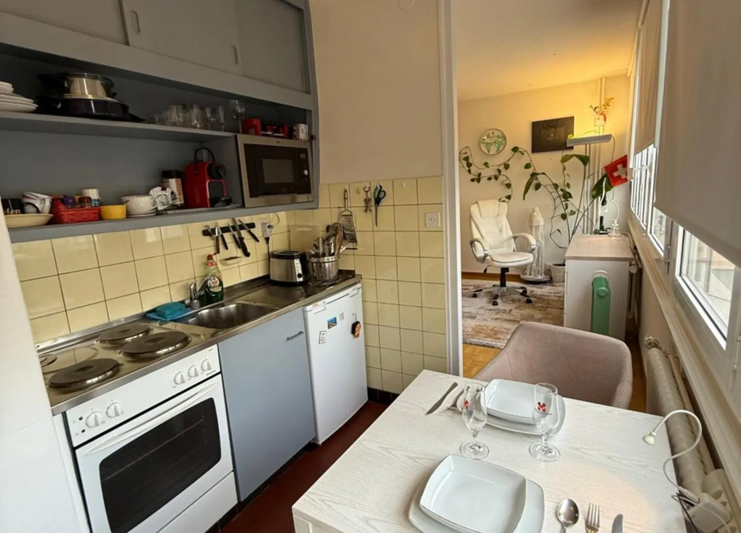 Appartement 1,5 Geneve Lac Geneva