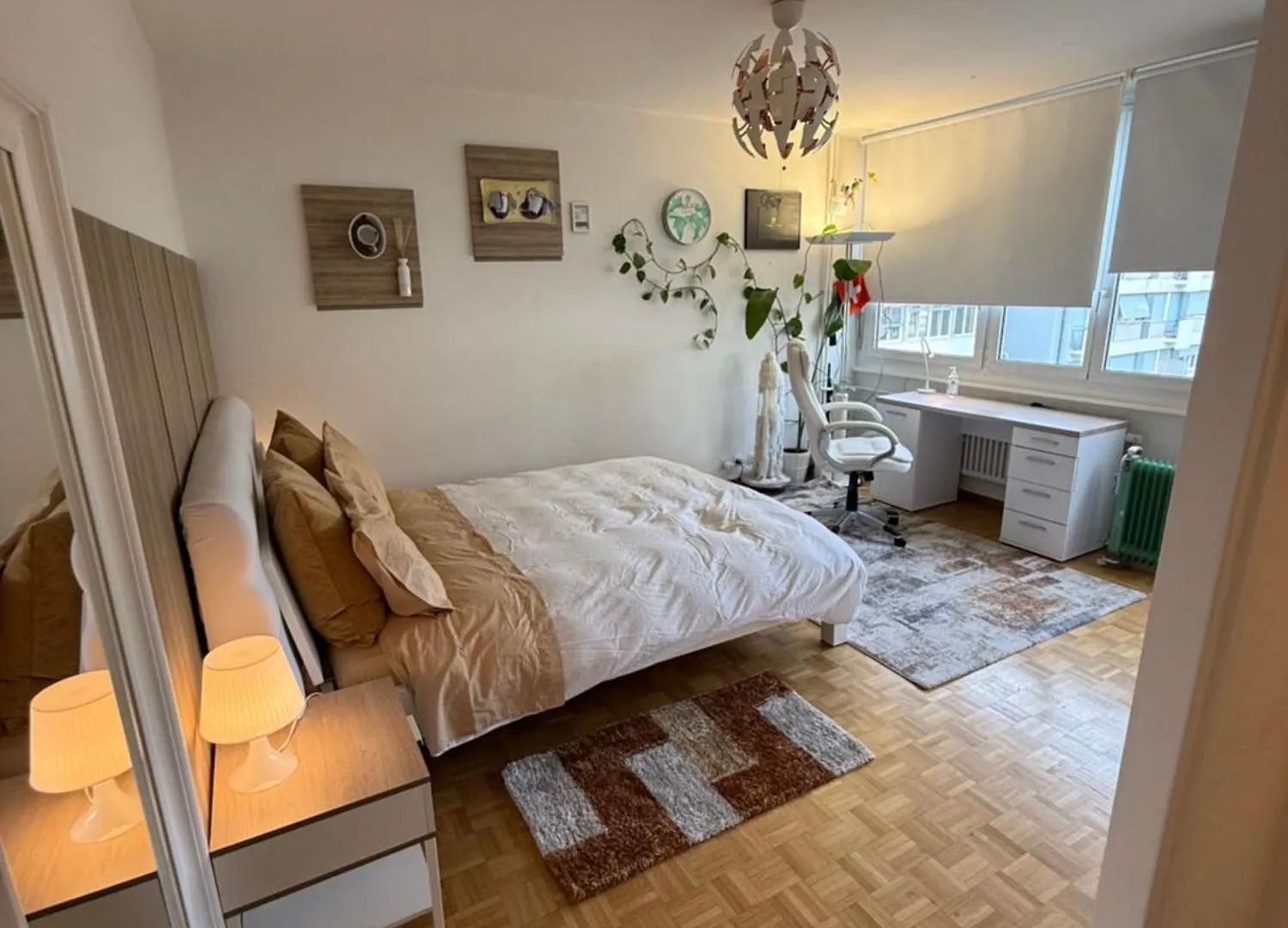 Appartement 1,5 Geneve Lac Geneva